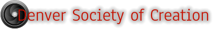 Denver Society of Creation